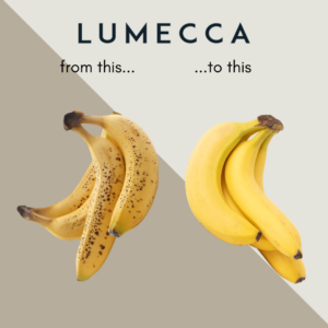 lumecca - from this... to this...